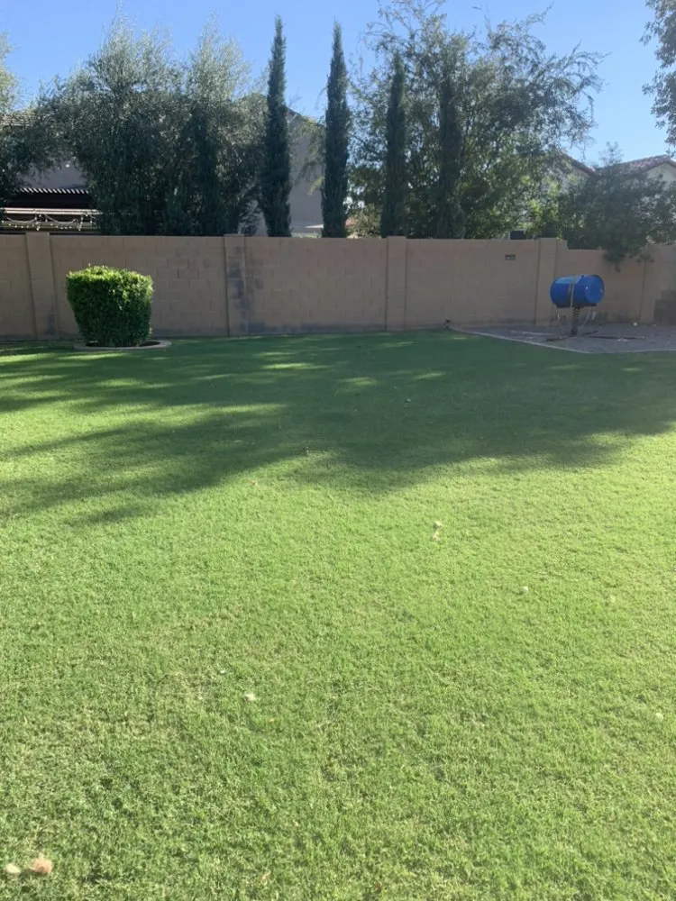 Top-rated landscaping services in Gilbert, AZ - Bull Hand Construction