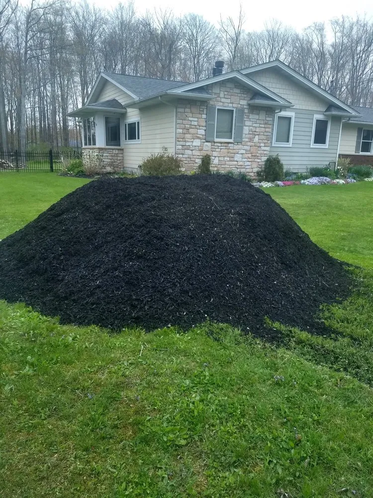 Affordable yard cleanup service for beautiful yards across Rome, OH - Bull Moose Aggregates And Trucking