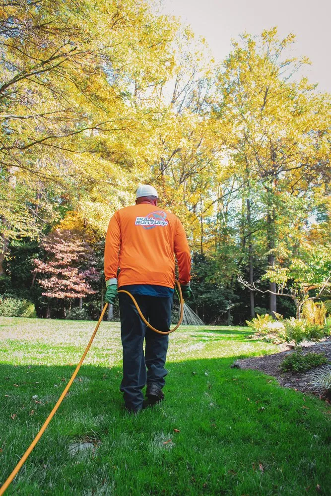 Top-rated lawn mowing service in Chantilly, VA - Bull Run Turf & Pest Control