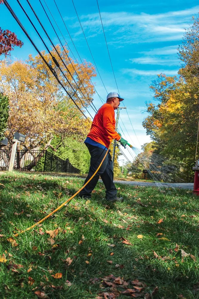 Local yard maintenance experts serving Chantilly, VA - Bull Run Turf & Pest Control
