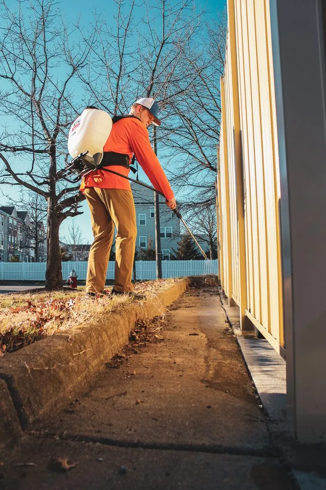 Expert yard maintenance for beautiful yards across Chantilly, VA - Bull Run Turf & Pest Control