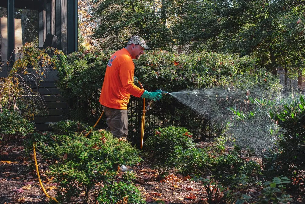 Professional outdoor landscaping with custom design across Chantilly, VA - Bull Run Turf & Pest Control