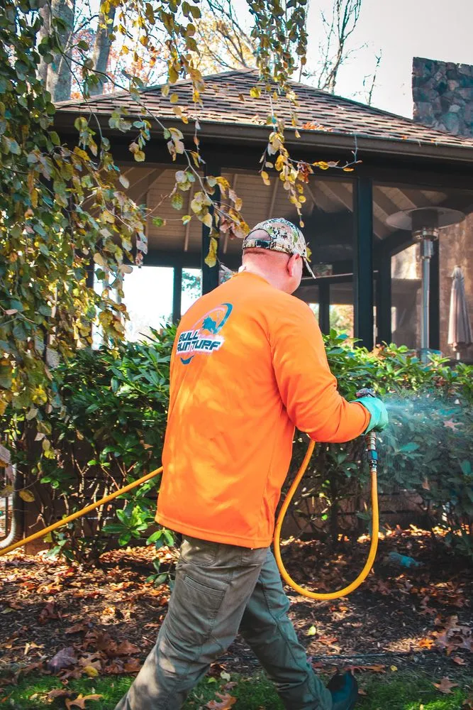Professional yard cleanup service experts serving Chantilly, VA - Bull Run Turf & Pest Control