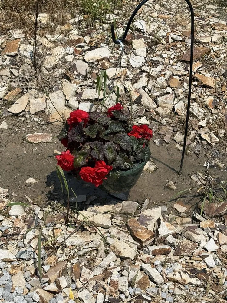 Trusted lawn care service in Flora, IL by Bullards Landscape Nursery