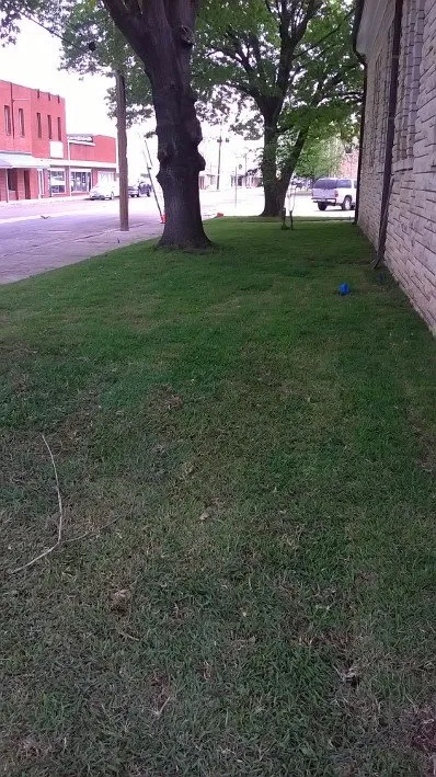 Local landscape design in Canyon Lake, TX by Bullards Services