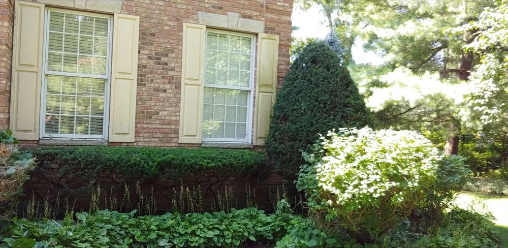 Expert landscaping services for year-round maintenance across Moline, IL - BullDawg Services