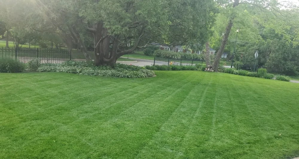 Affordable yard maintenance in Moline, IL - BullDawg Services