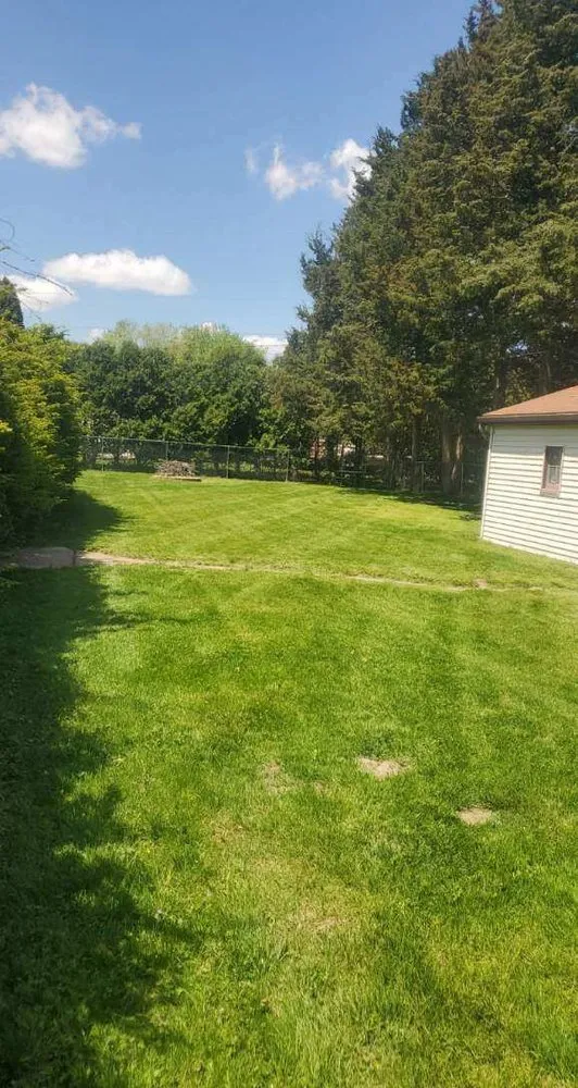 Custom residential landscaping in Moline, IL - BullDawg Services