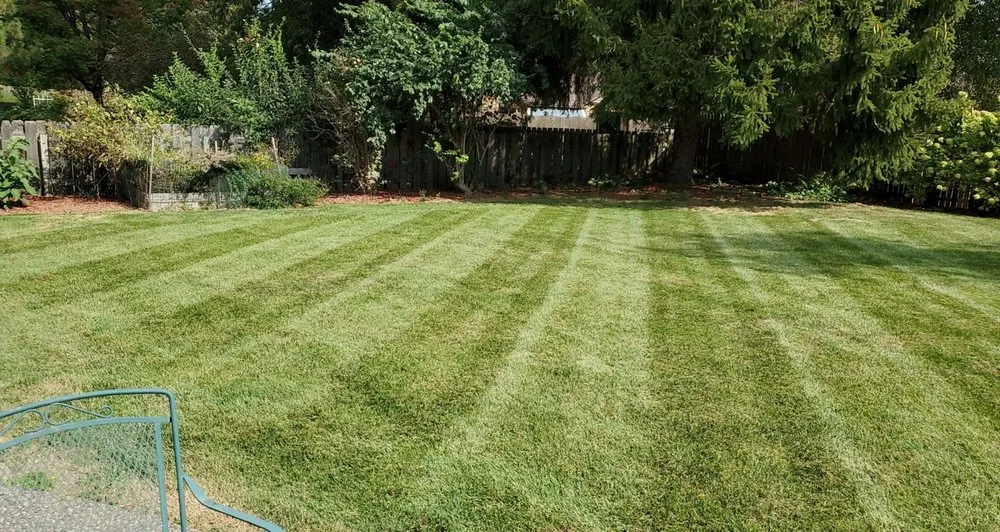 Local landscape design in Moline, IL - BullDawg Services
