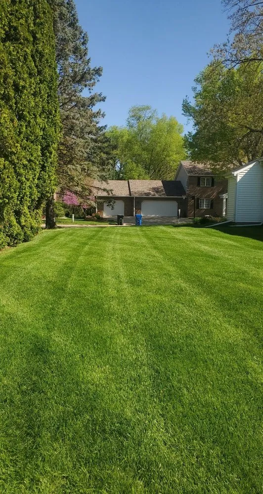 Professional landscaping services for outdoor upgrades in Moline, IL by BullDawg Services