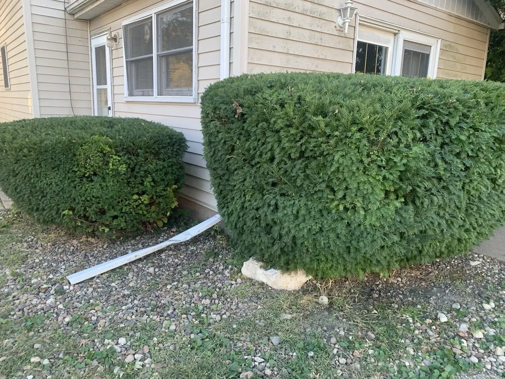 Expert landscape installation experts serving Moline, IL - BullDawg Services