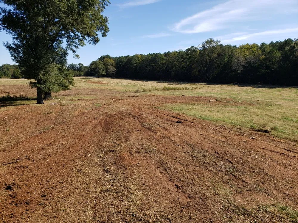 Custom lawn care service in Columbia, SC - Bulldog Forestry Mulching