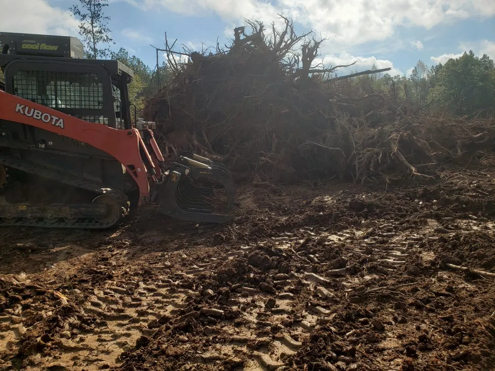 Top-rated yard cleanup service experts serving Columbia, SC - Bulldog Forestry Mulching
