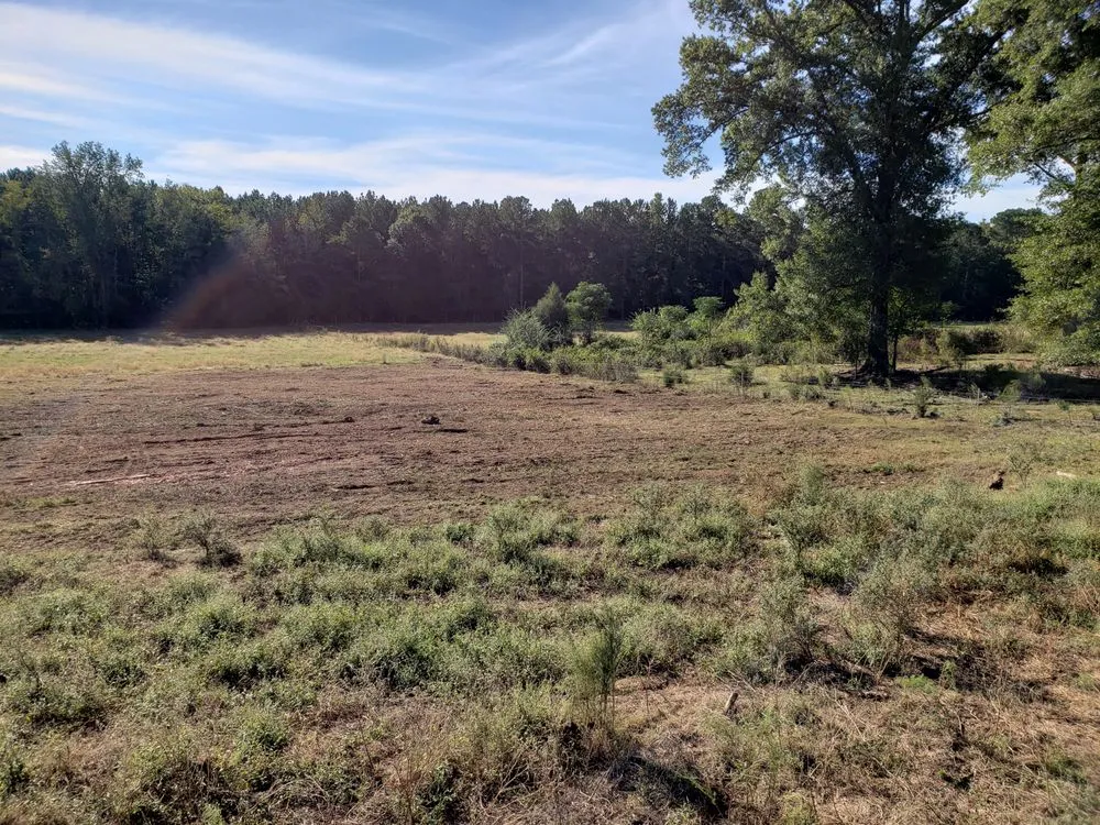Expert landscape installation in Columbia, SC - Bulldog Forestry Mulching
