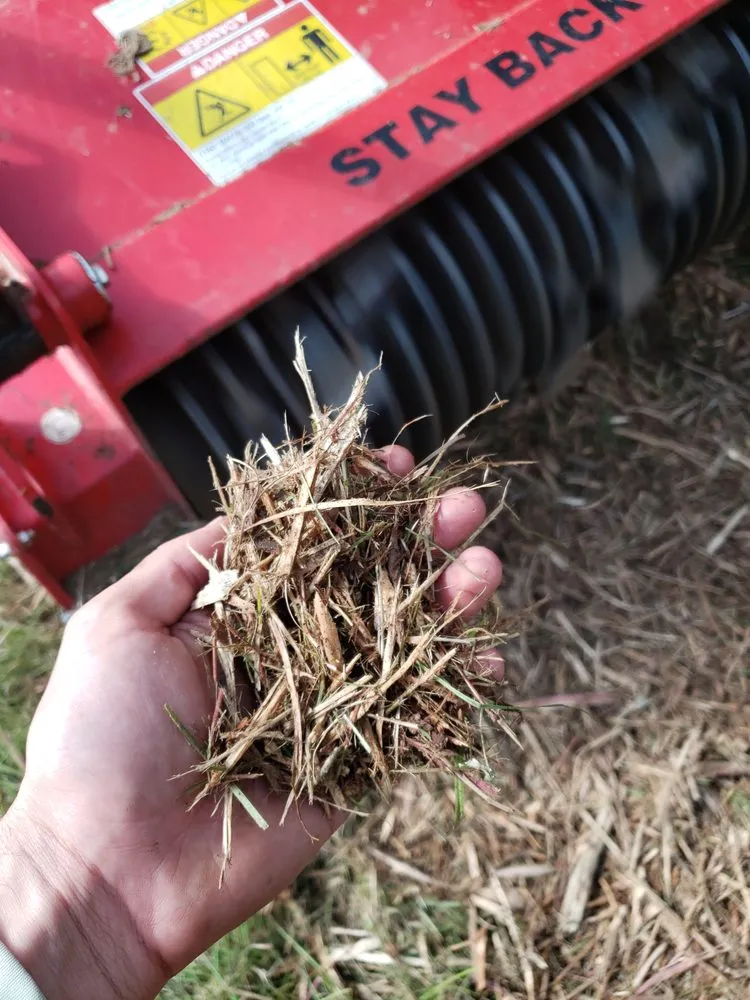 Custom landscaping services in Columbia, SC - Bulldog Forestry Mulching