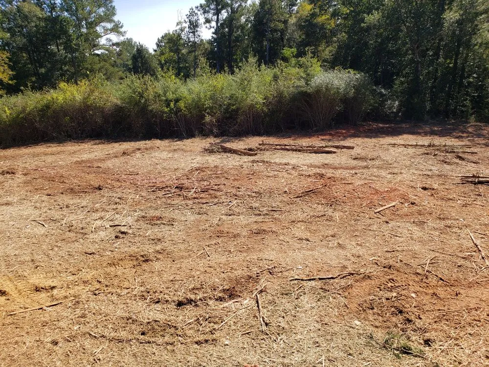 Reliable garden landscaping experts serving Columbia, SC - Bulldog Forestry Mulching