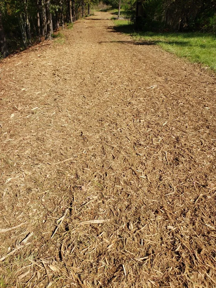 Custom garden landscaping experts serving Columbia, SC - Bulldog Forestry Mulching