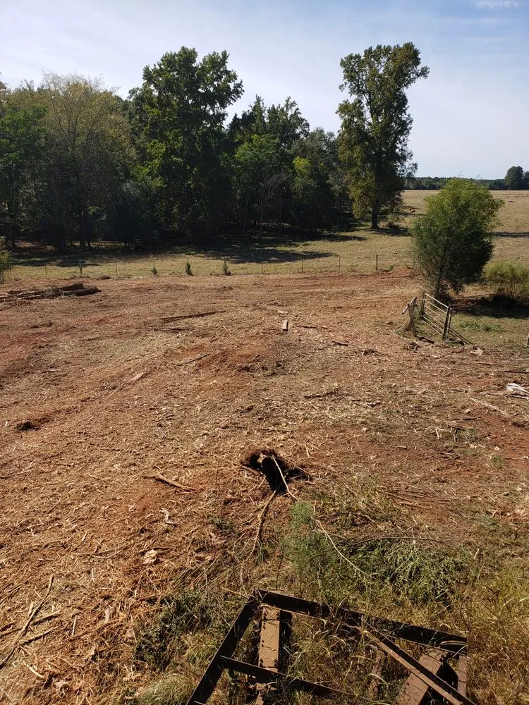 Reliable landscape design for beautiful yards in Columbia, SC by Bulldog Forestry Mulching