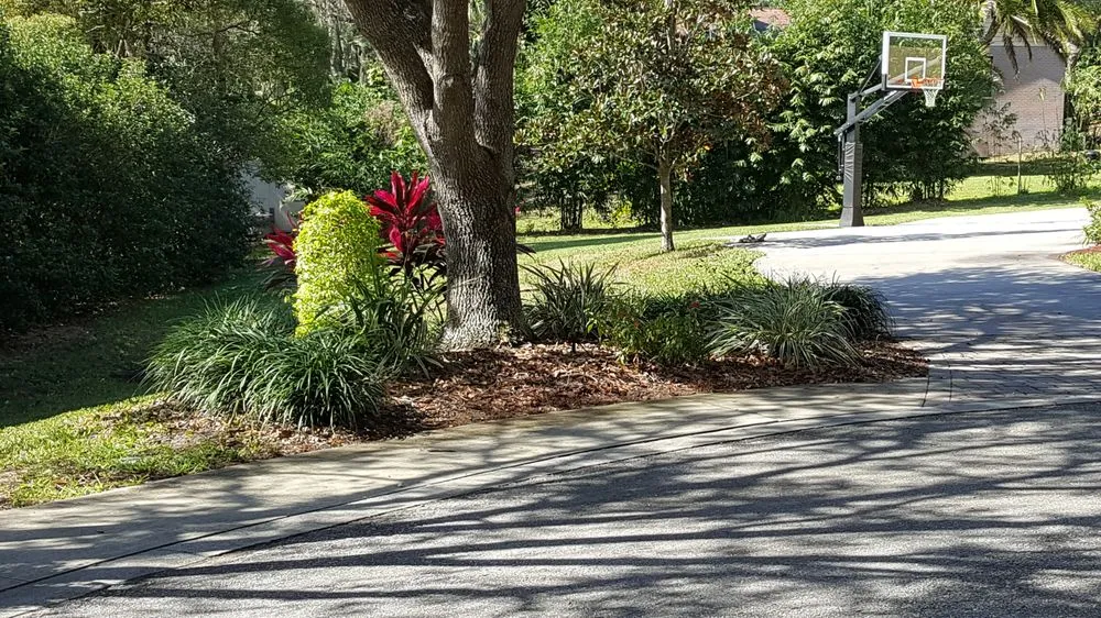 Top-rated landscape installation with custom design in Bartow, FL by Bulldog Landscaping