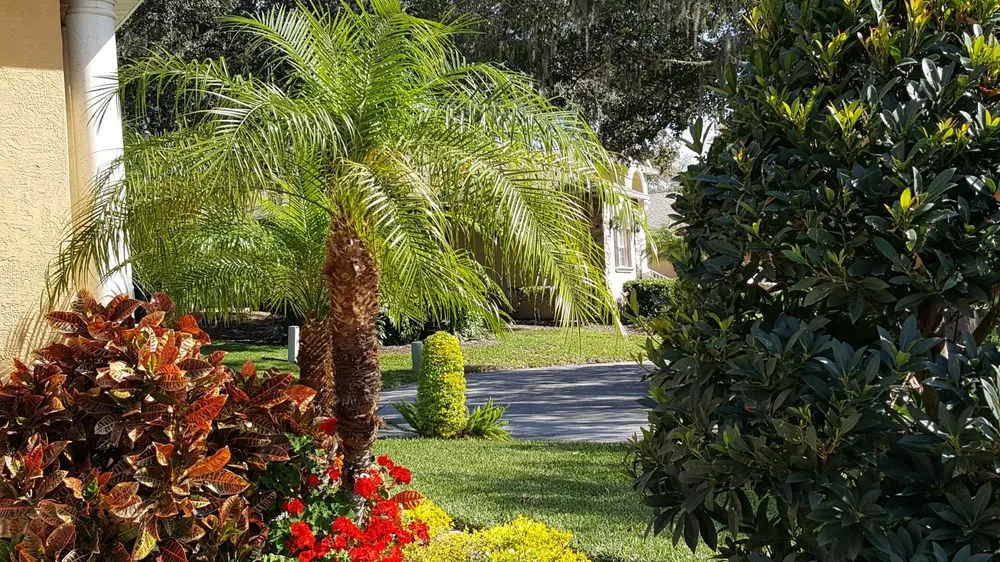 Affordable landscape design near you across Bartow, FL - Bulldog Landscaping
