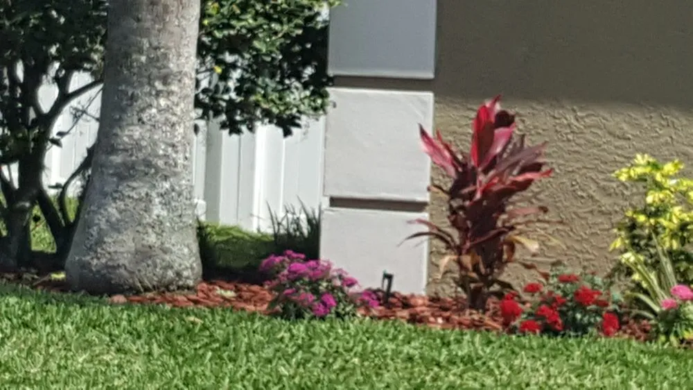 Expert yard maintenance in Bartow, FL by Bulldog Landscaping