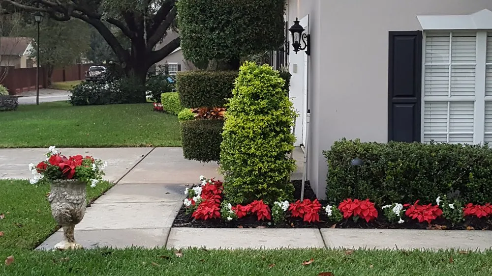 Local outdoor landscaping for year-round maintenance in Bartow, FL by Bulldog Landscaping