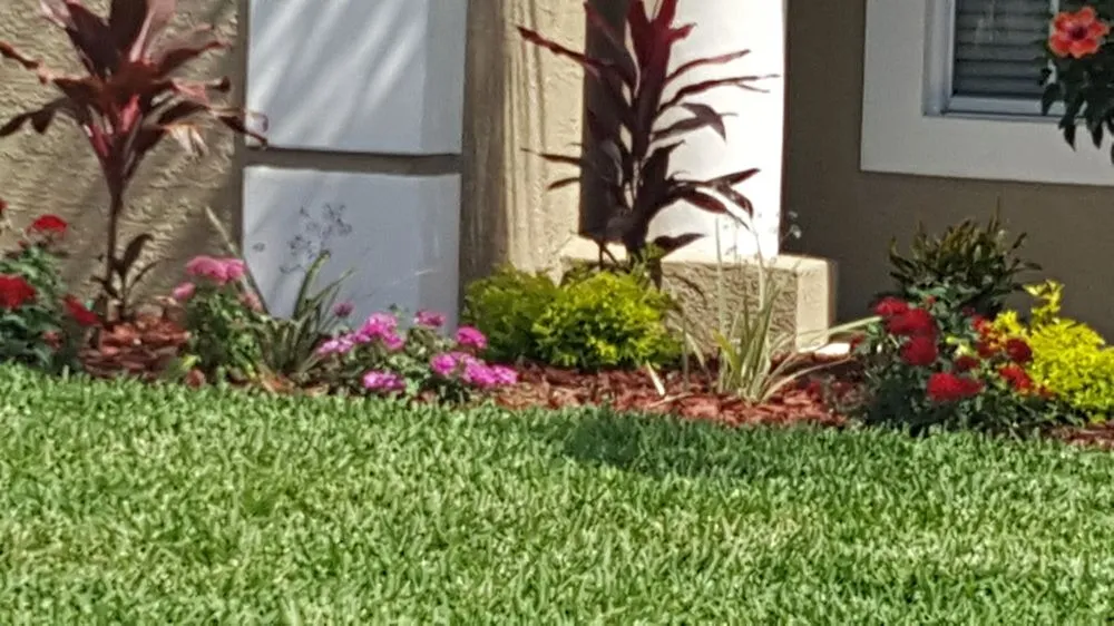 Professional yard cleanup service experts serving Bartow, FL - Bulldog Landscaping