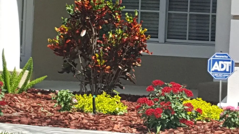 Affordable residential landscaping for residential properties across Bartow, FL - Bulldog Landscaping