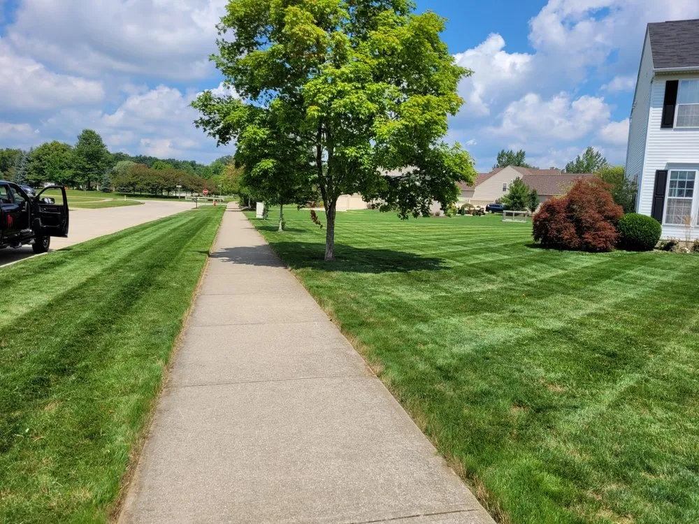 Top-rated landscaping services experts serving Medina, OH - Bulldog Lawn Care