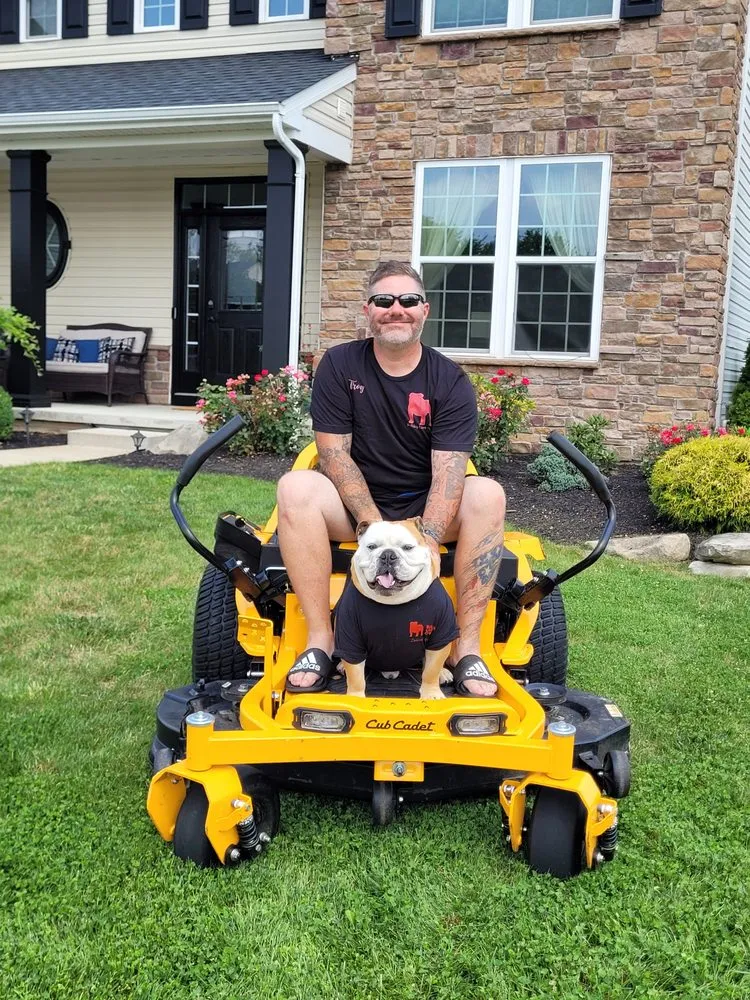 Professional landscape installation in Medina, OH - Bulldog Lawn Care
