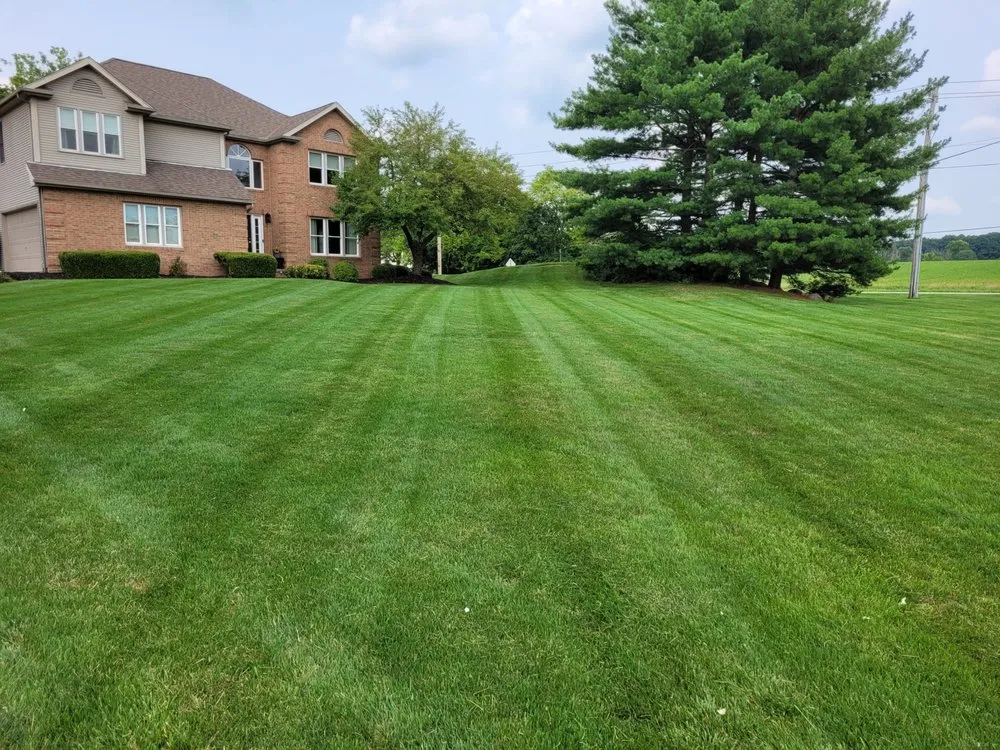 Expert landscape installation in Medina, OH by Bulldog Lawn Care
