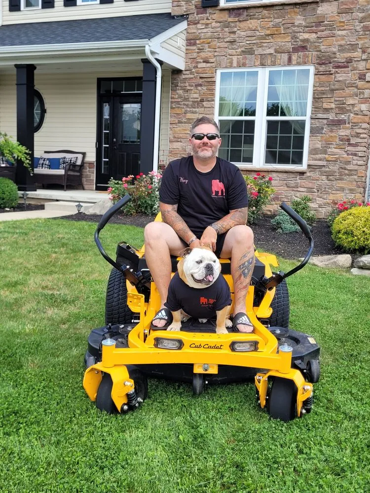 Custom yard cleanup service for year-round maintenance across Medina, OH - Bulldog Lawn Care