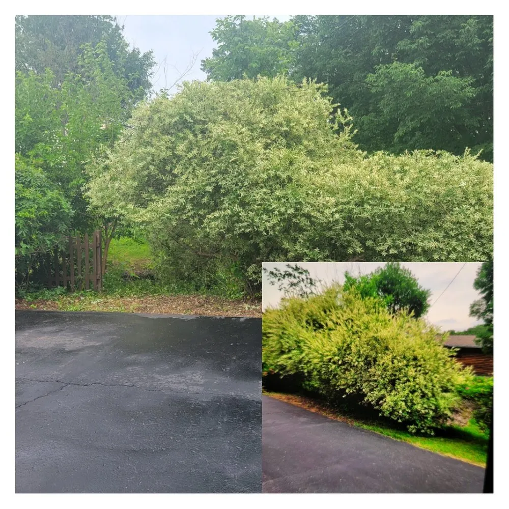 Trusted landscape installation in Medina, OH by Bulldog Lawn Care