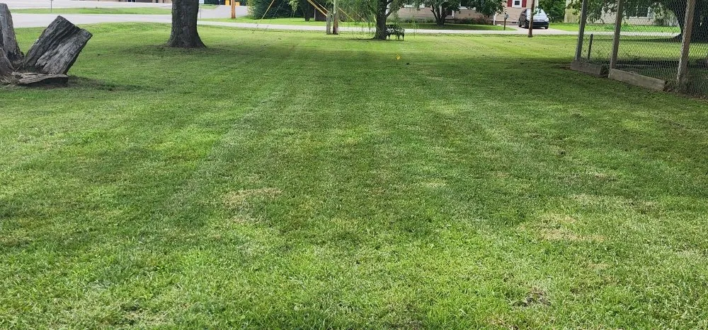 Trusted yard cleanup service in Wagoner, OK by Bulldog Lawn Care