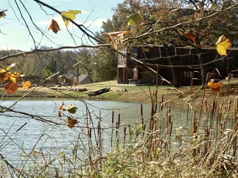 Top-rated yard cleanup service for outdoor upgrades across Basehor, KS - Bulletproof Pond and Lake