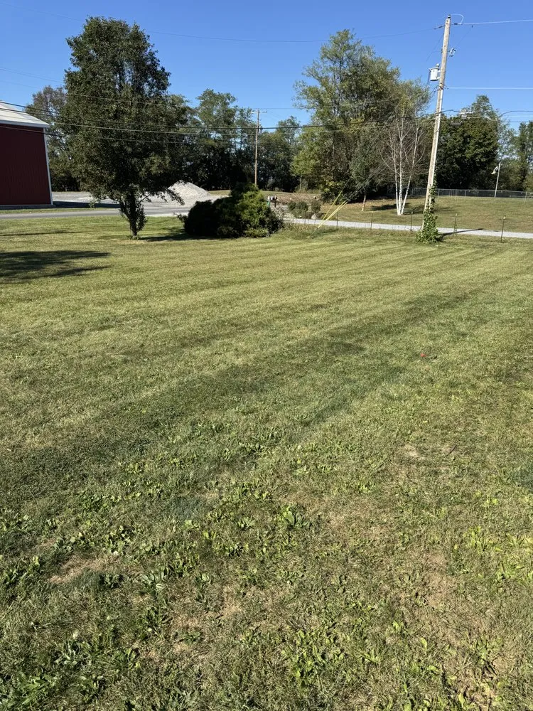 Trusted yard cleanup service in Shippensburg, PA by Bullfrog Lawn Care