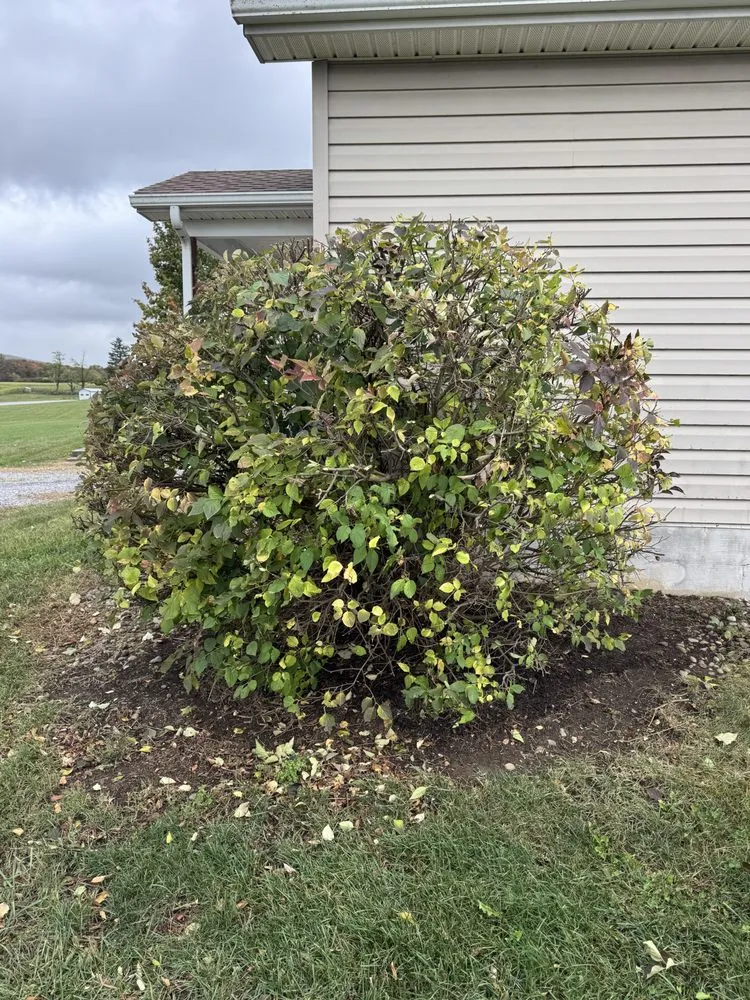 Trusted garden landscaping for year-round maintenance in Shippensburg, PA by Bullfrog Lawn Care