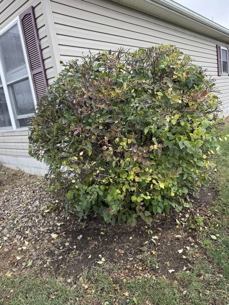 Reliable lawn care service in Shippensburg, PA by Bullfrog Lawn Care