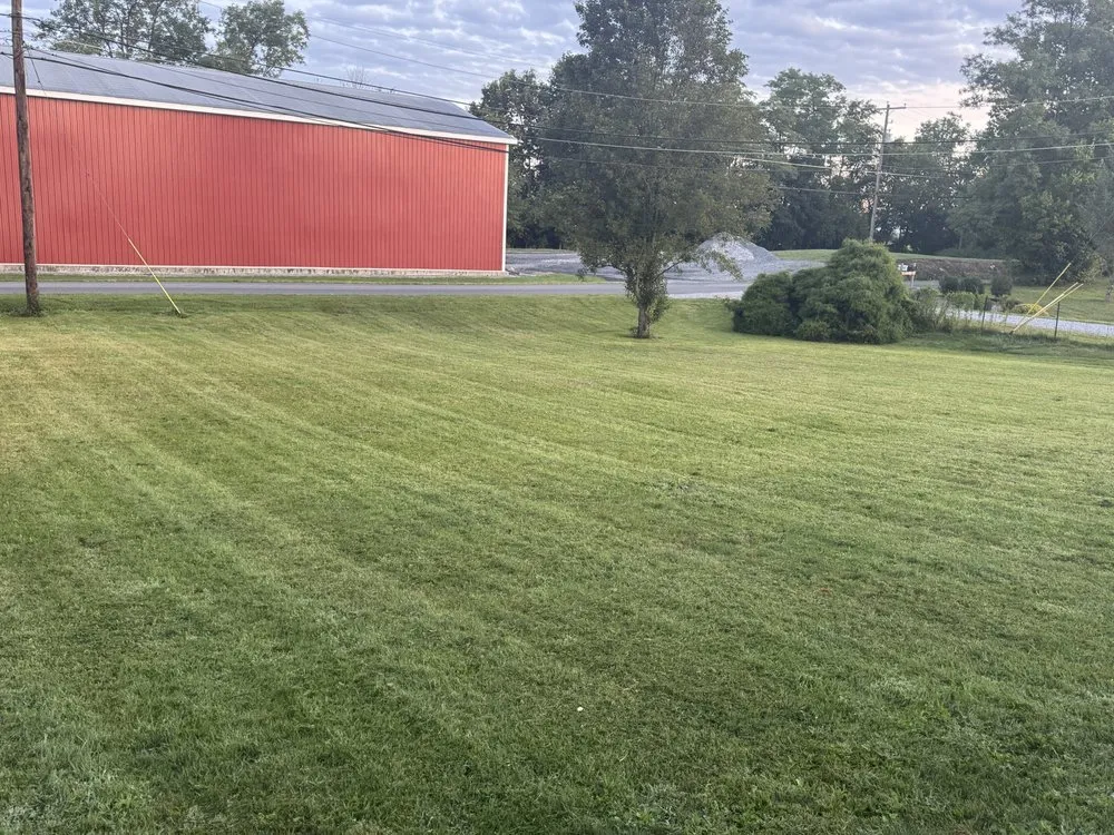 Professional yard cleanup service experts serving Shippensburg, PA - Bullfrog Lawn Care