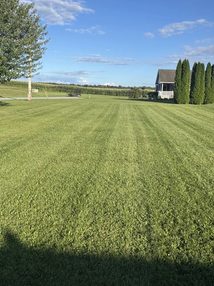 Professional lawn care service near you in Shippensburg, PA by Bullfrog Lawn Care