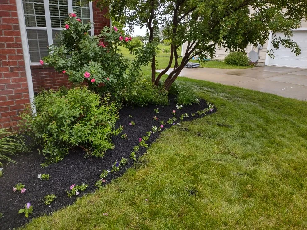 Local lawn care service in Kokomo, IN by Bullies Outdoor Services