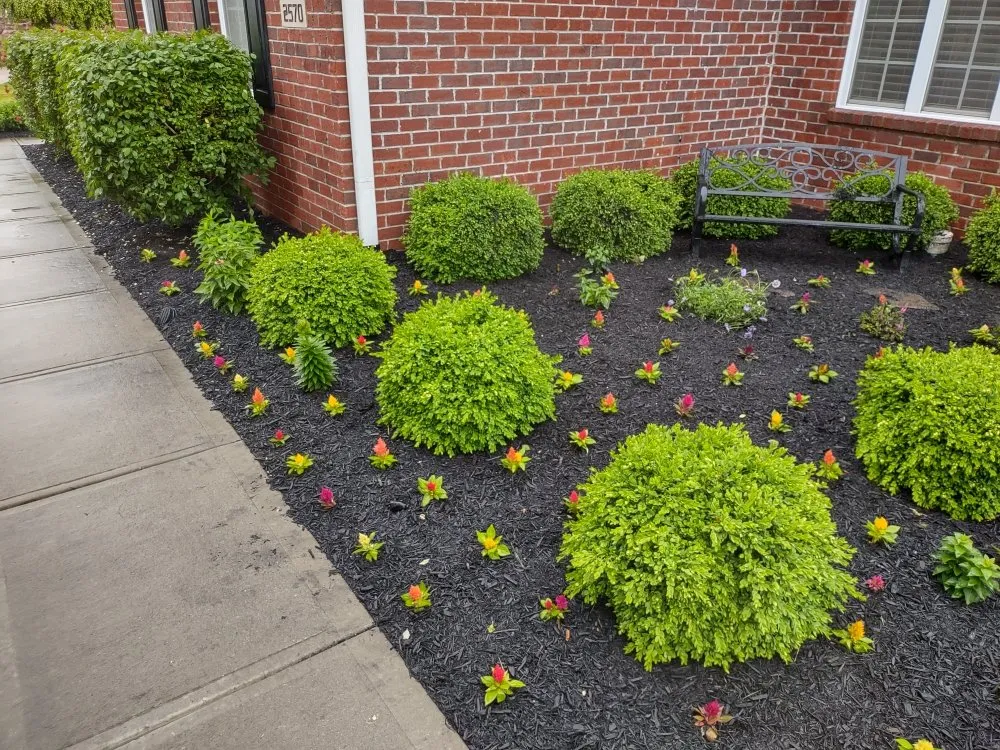 Expert landscaping services in Kokomo, IN by Bullies Outdoor Services