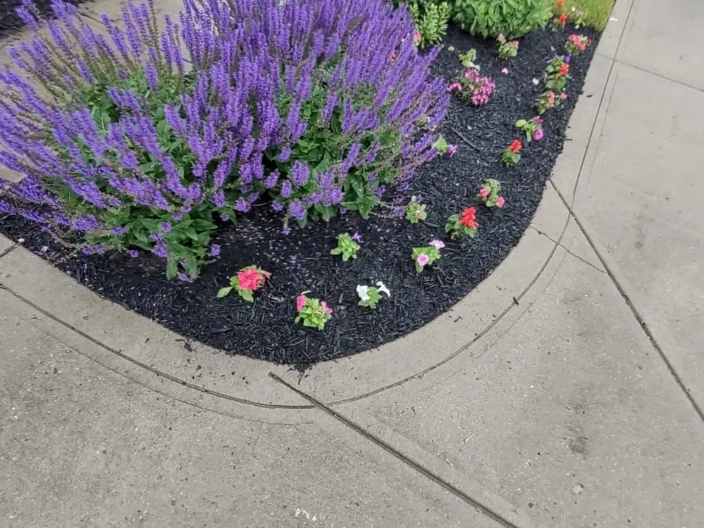 Top-rated landscape design experts serving Kokomo, IN - Bullies Outdoor Services