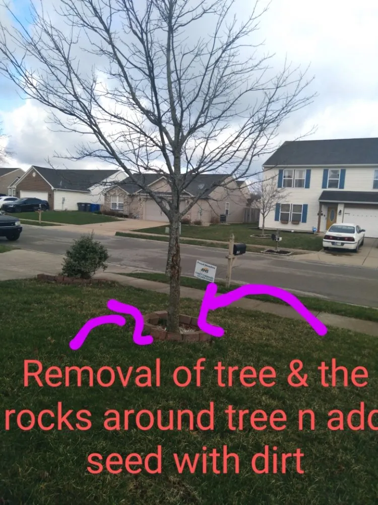 Professional lawn mowing service in Kokomo, IN - Bullies Outdoor Services