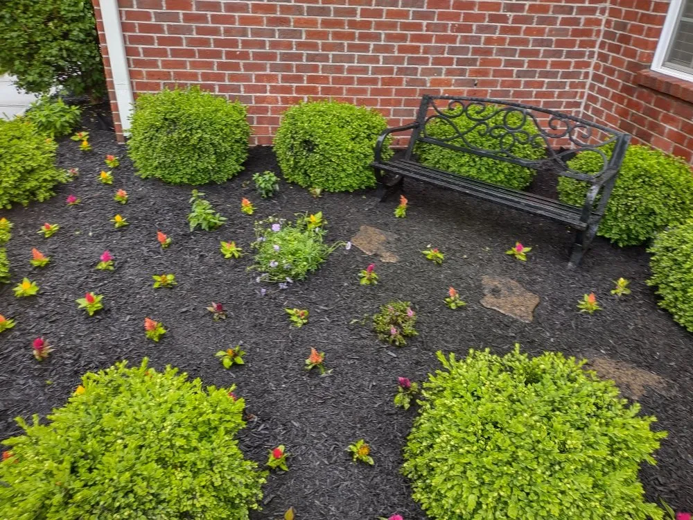 Expert yard maintenance in Kokomo, IN by Bullies Outdoor Services