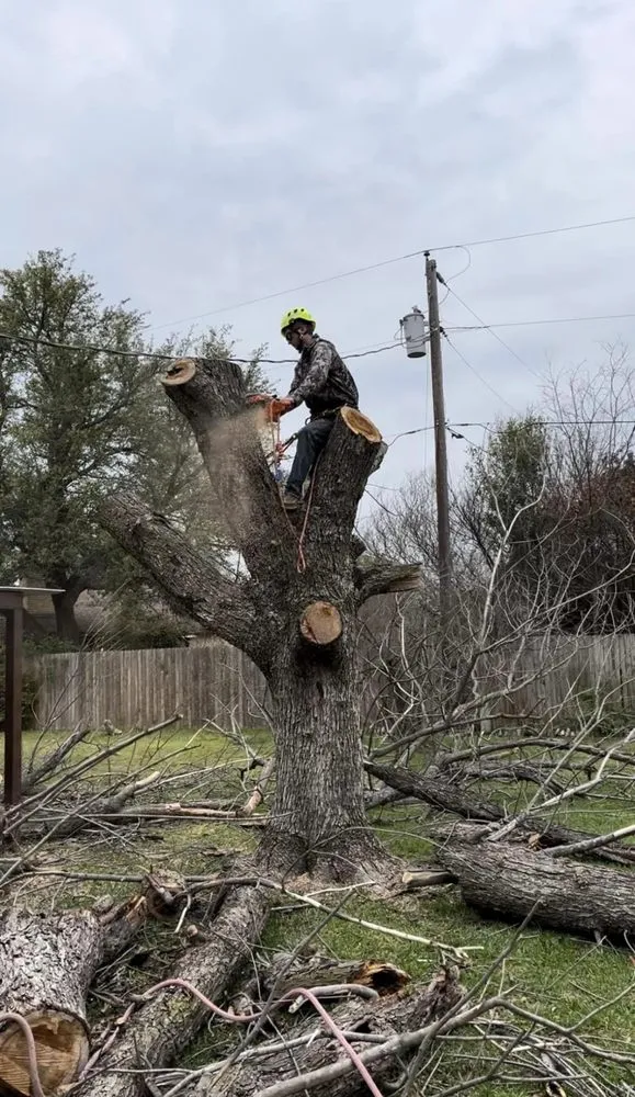 Local outdoor landscaping with custom design across Millsap, TX - Bullock Tree’s & More