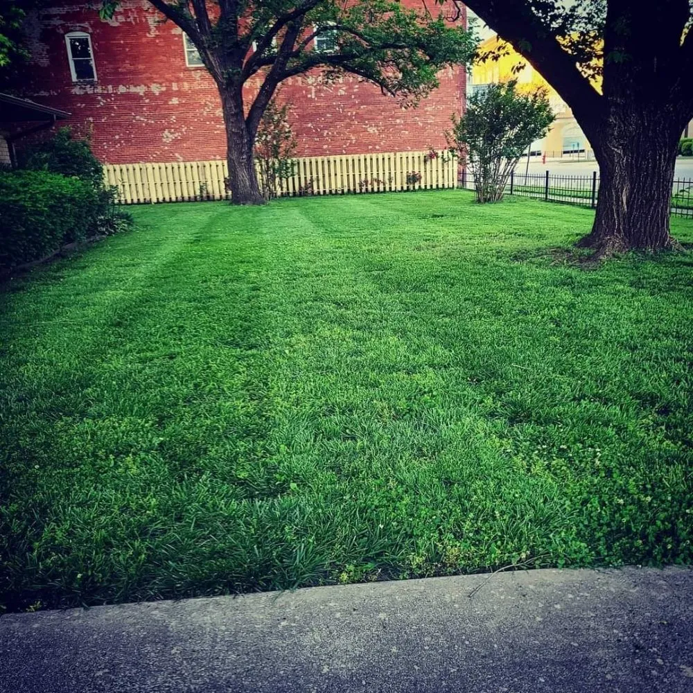 Expert landscaping services experts serving Caney, KS - Bullpup lawn services