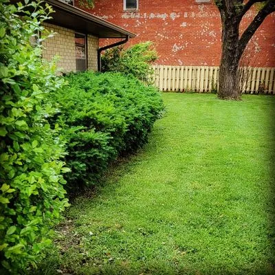 Bullpup lawn services