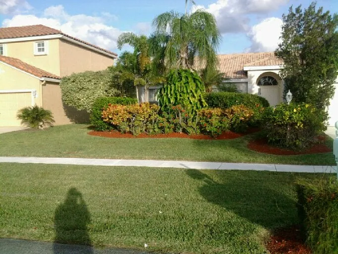 Expert yard maintenance for beautiful yards across Coral Springs, FL - Bull's Eye Lawn Service
