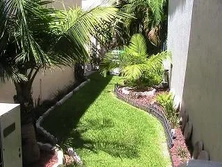 Reliable yard maintenance near you in Coral Springs, FL by Bull's Eye Lawn Service
